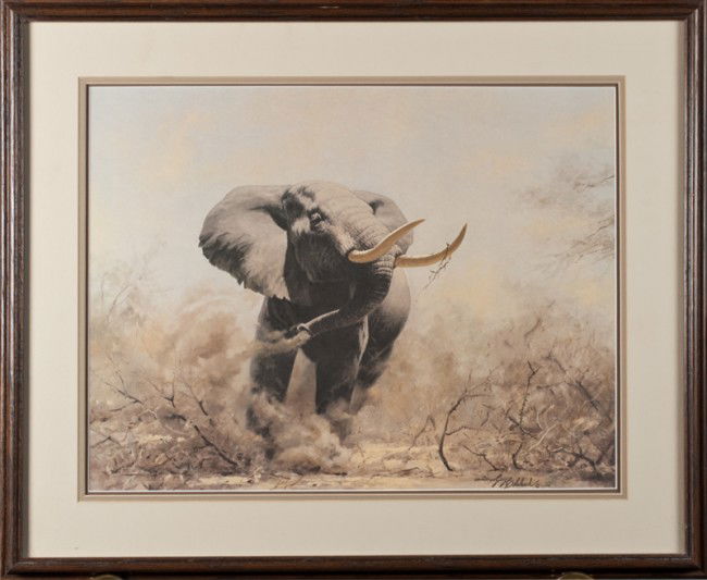 Guy Coheleach Limited Edition Print: Titled, "Beware," depicting an African Bull elephant. Plate # XXVII, pencil signed LR, nicely framed and matted. 22.25" H x 26.75" W (including frame).