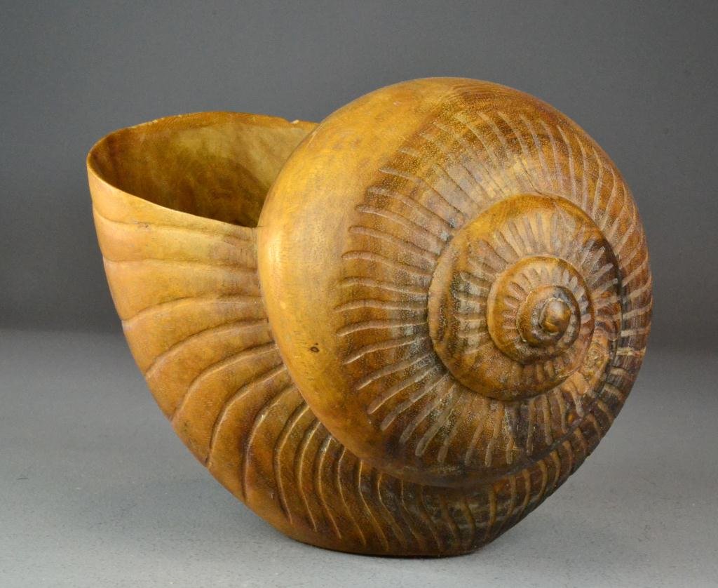 Carved Wooden Seashell: Large carved decorative wooden snailshell, possibly a bowl, circa 20th century, 9" H x 12" L x 9" W, chip to edge. Private collection Grand Rapids, MI.
