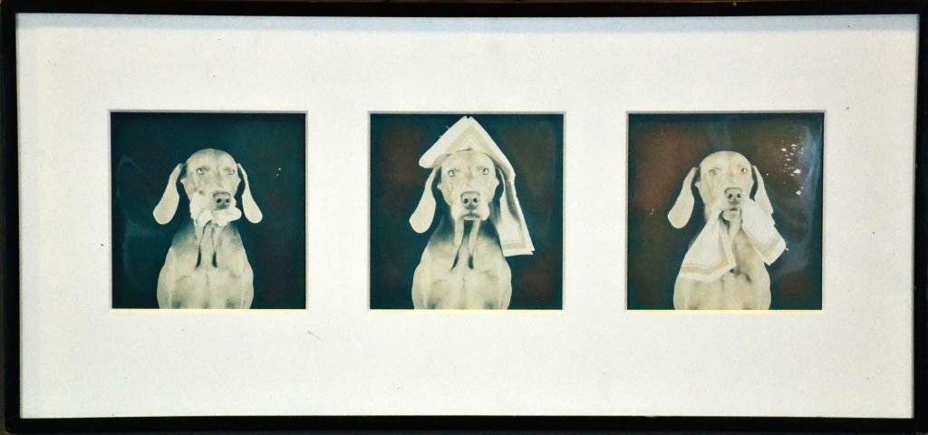 William Wegman Triptych Photographs: Ttled " Orderly Nurse Patient ", depicting three dogs, probably the srtists dogs, signed and numbered on back of one photo, dated 93', numbered 4 of 12, William Wegman born 1943, was a New York artist