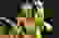 item-11738821=7