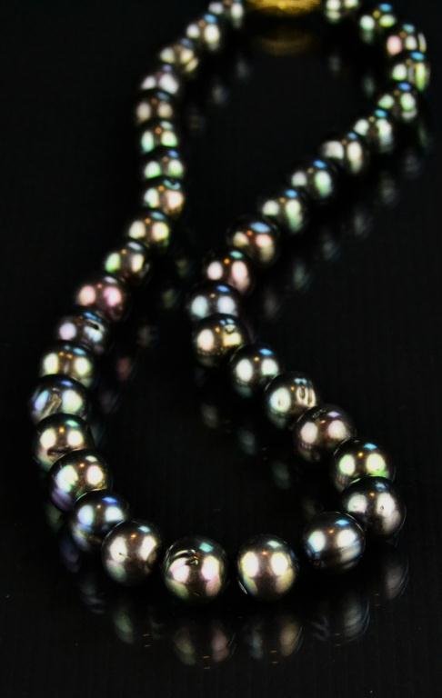 14K Gold Black Tahitian South Sea Pearl Necklace: Comprised of 39 South Seas Pearls ranging in size from 10mm to 11mm; with peacock overtones; having good luster and 14K gold clasp. 17"L; circa 20th century. Property of a gentleman Sterling Heights M