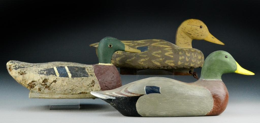 (3) Mallard Drakes & Hen Duck Decoys: Having glass and metal eyes, appears to be original paint, largest is 17", circa 1050, wear commensurate with age. Provenance: From The Estate of The Late James W. Goodrich of Missouri.