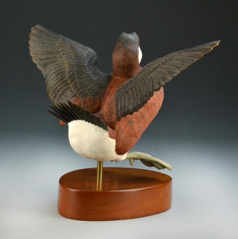 Eric Kaiser Finely Carved Ruddy Duck - 3