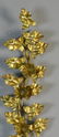 Pr. Italian Gilt Metal Wall Sconces - 2