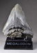 Megalodon Fossilized Shark Tooth