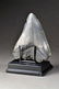 Megalodon Fossilized Shark Tooth - 3