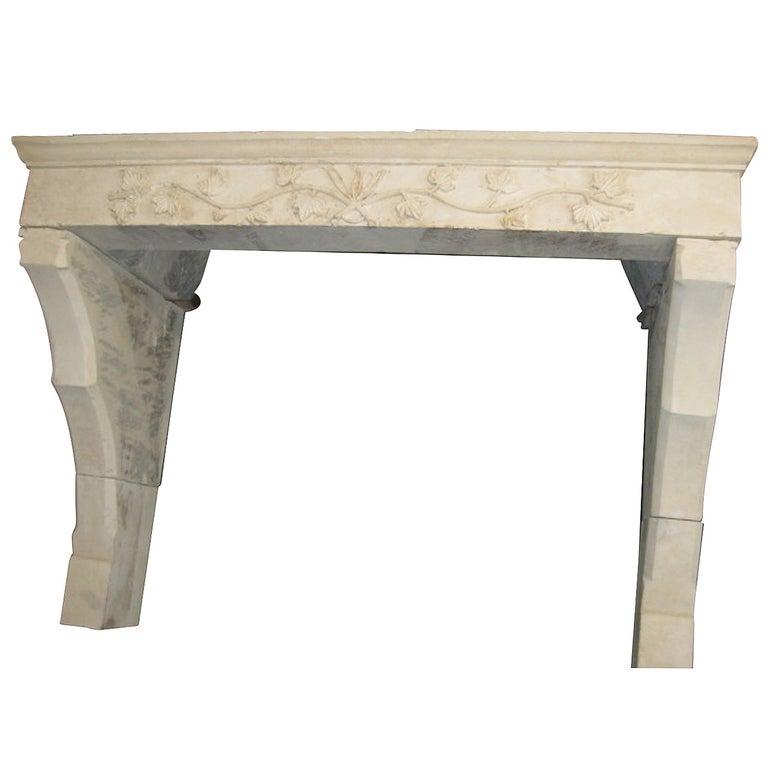 French antique fireplace Countryside style 19th C (1 of 10)
