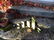 French art scuptures Commercy 20th century Lorraine - 15