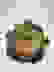 item-104318299=3