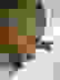 item-104318299=6