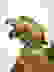 item-104318302=4