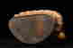 item-120255258=9