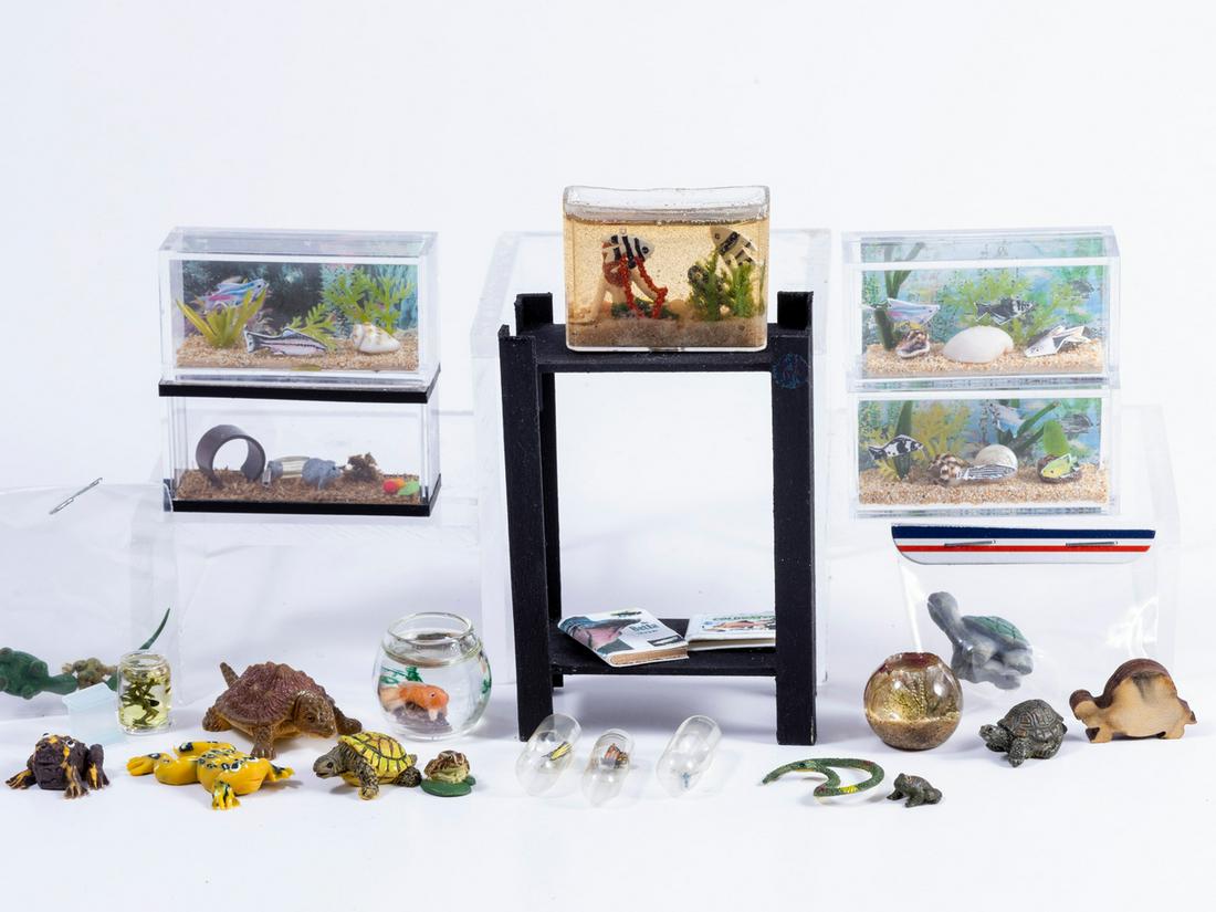 Animals - Variety of Fish Tanks, And Amphibians, Tadpoles etc., Great for Pet Shop (1 of 8)
