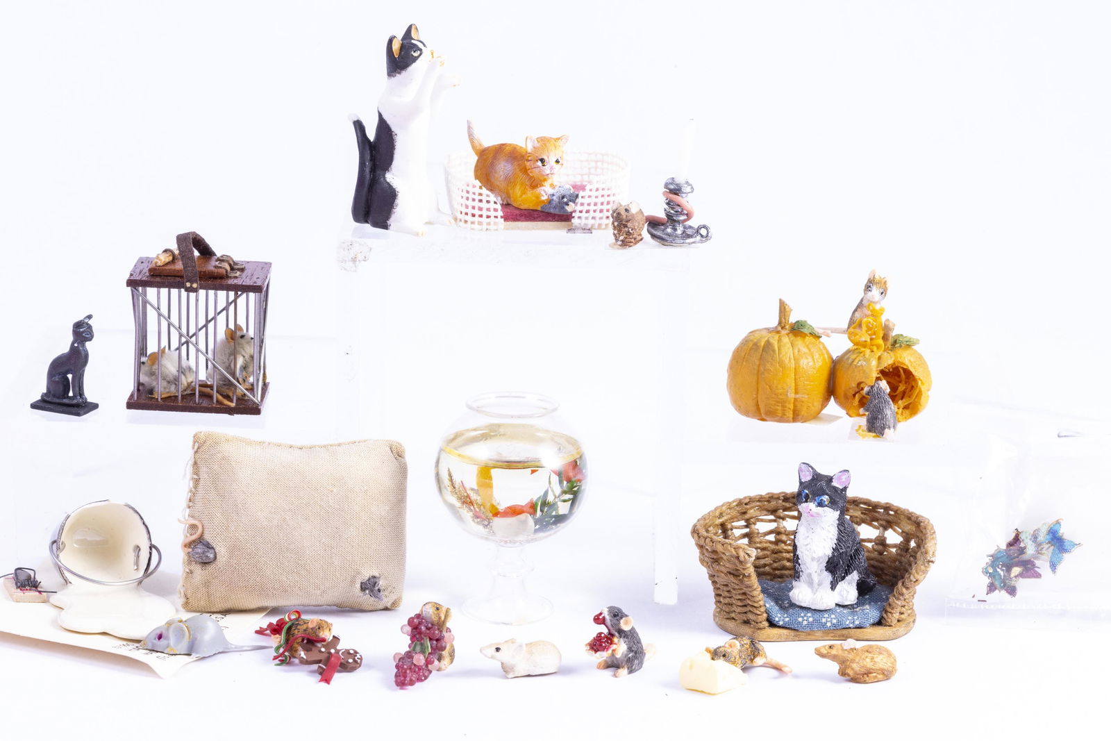 Playing Cat & Mouse - Cats, Mice & Fish (1 of 10)