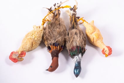 Pheasants & Chickens (Deceased) On String - Game Birds - Killed