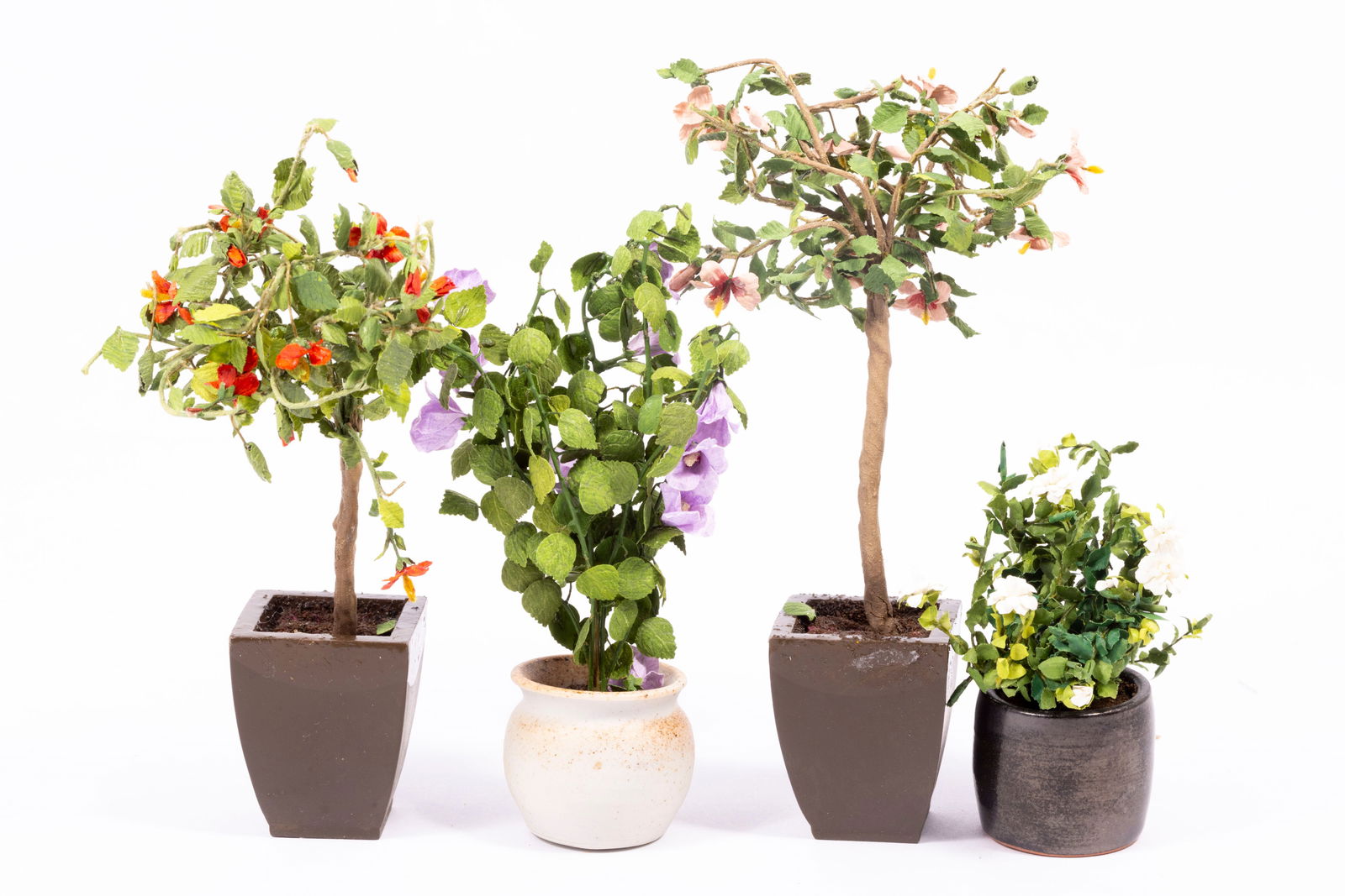 Assortment of Hibiscus Plants in Different Colors (1 of 7)