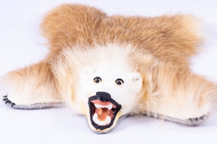 Bear Skin Rug by Teresa Dudley