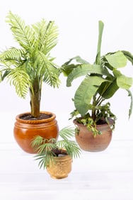 Large Potted Palm Trees - Handmade