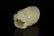 A fine white jade 'dragon' ring - 2