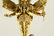 An Unusual Gilt-bronze Figure of Guardian - 4