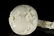 A Rare and Fine Hetian White Jade Carved Ruyi - 2