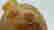 item-107355506=7