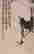 item-130905704=5