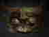 item-127490857=3