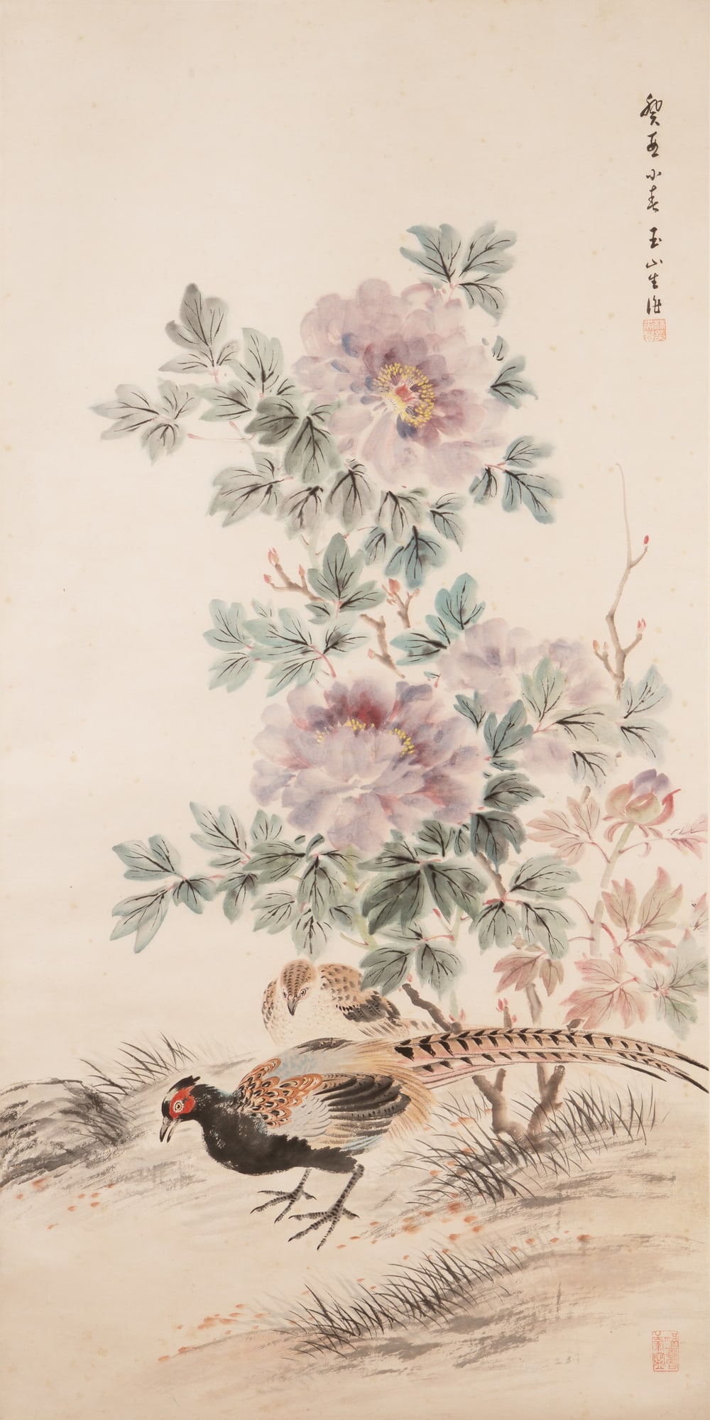 A PHEASANT PAINTING (1 of 1)