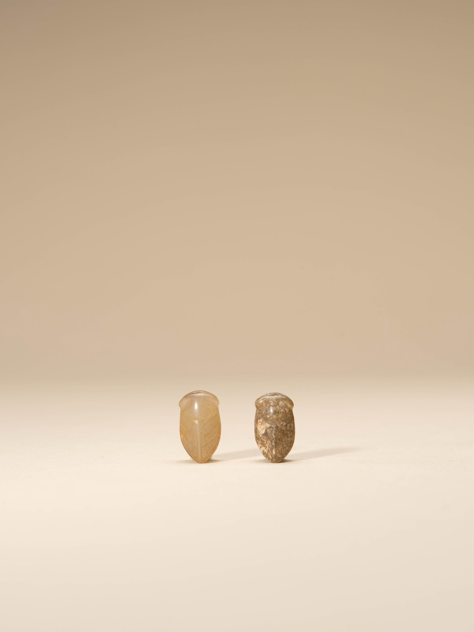 A PAIR OF JADE FIGURES OF CICADA: 年代(Age):WARRING STATES PERIOD OR HAN 。尺寸(Size):1.5 cm Height (each)。
