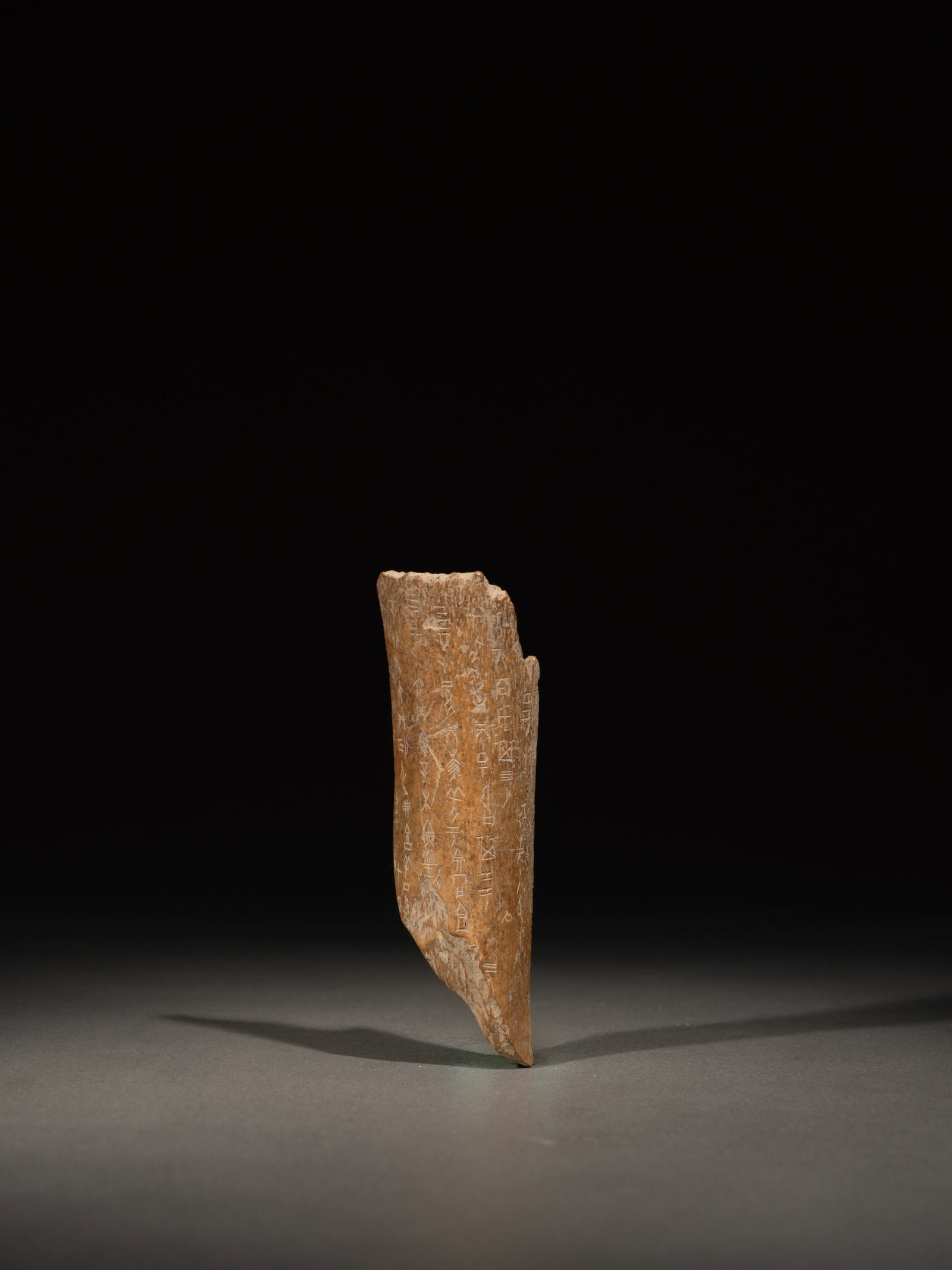 A PIECE OF ORACLE BONE: 年代(Age):SHANG(1600 B.C.-1046 B.C.) 。尺寸(Size):10 cm Height。 附標籤。 來源: 龍吟山館舊藏