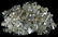 World Coins from Various Properties