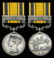 Single Campaign Medals