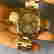 item-110544168=3