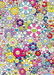 Champagne Supernova : Multicolor + Pink and White