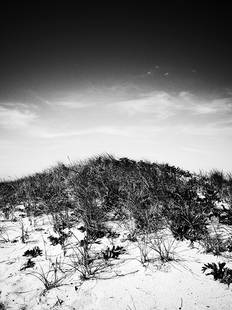 Ji Wenkai: "_4866 (Montauk in May)", 2020, Photography,10x7.5 inches, signed verso 