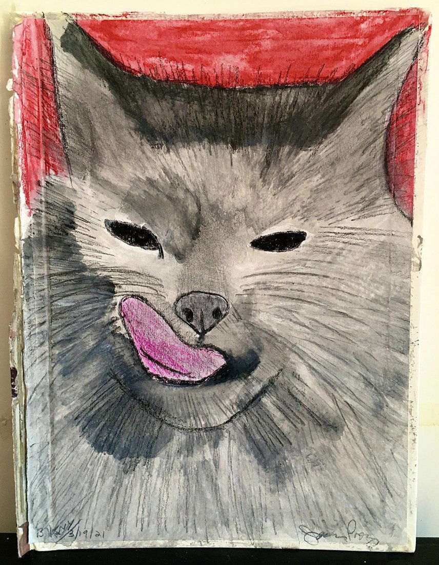 James Prez cat drawing on book cover (1 of 2)