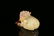 A small and exquisitecarved white jade - 6