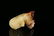 A small and exquisitecarved white jade - 7