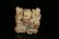 A fine carved russet jade 'dragon' seal - 2