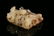 A fine carved russet jade 'dragon' seal - 5