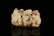 A fine carved russet jade 'dragon' seal - 6
