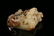 A fine carved russet jade 'dragon' seal - 7
