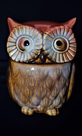 Retro Owl Canister: Short Mid Century Owl Canister with airtight seal. 6.5" tall and 5" wide.