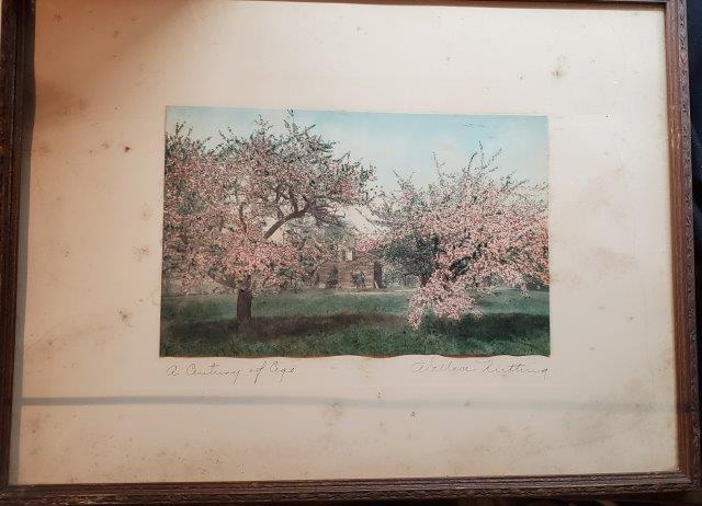 A Century of Age by Wallace Nutting 12.5" x 16.5": A Century of Age by Wallace Nutting 12.5" x 16.5"