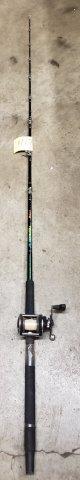 Fishing Pole with Reel: Fishing Pole with Reel
