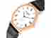 item-131400151=6