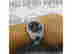 item-136818773=4
