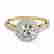 item-137172297=2