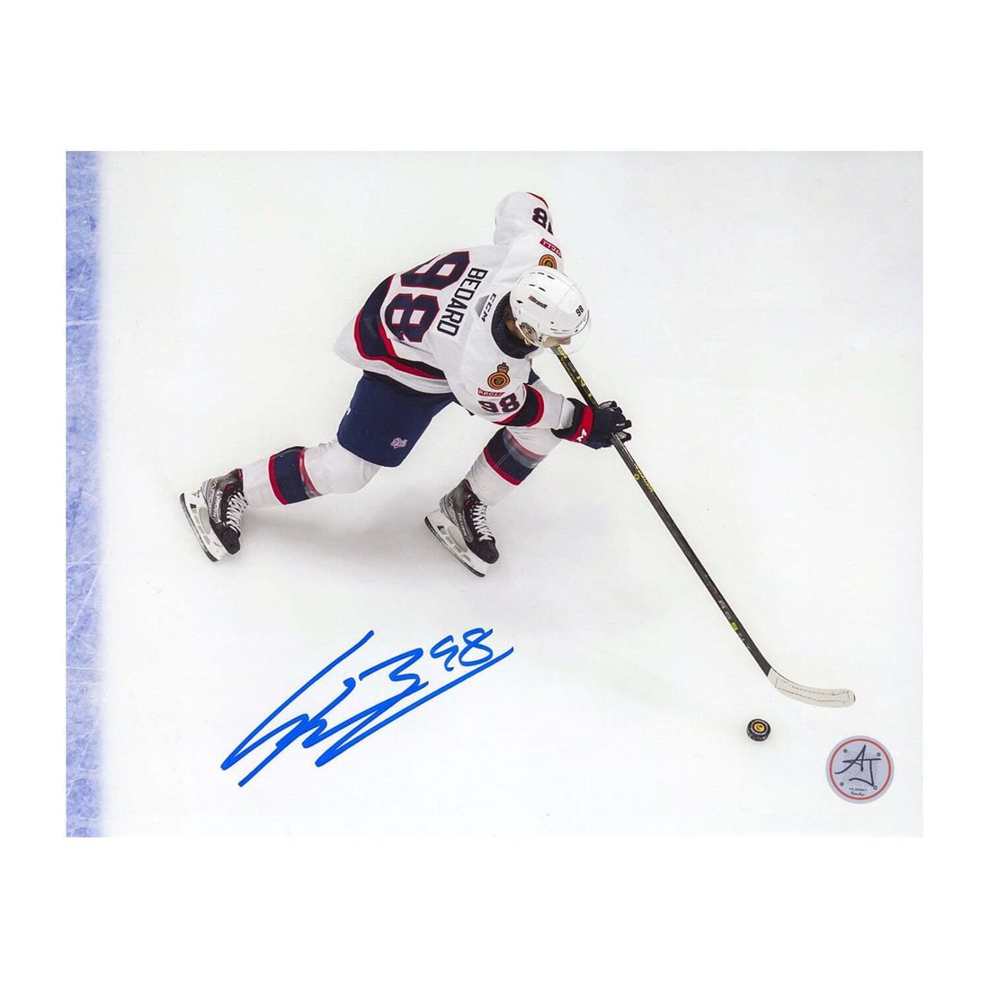 Connor Bedard Signed Regina Pats Aerial View 8x10 Photo: Connor Bedard Signed Regina Pats Aerial View 8x10 Photo Connor Bedard Signed Regina Pats Aerial View 8x10 Photo RBJ no: 7354338213976